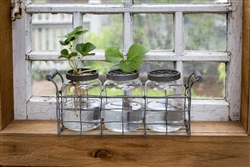 Triple Glass Flower Jars in Wire Holder by Park Hill Collection