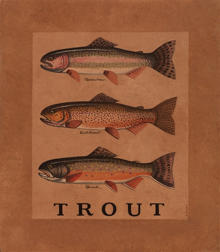Trout Framed Print, Antique Fish Print